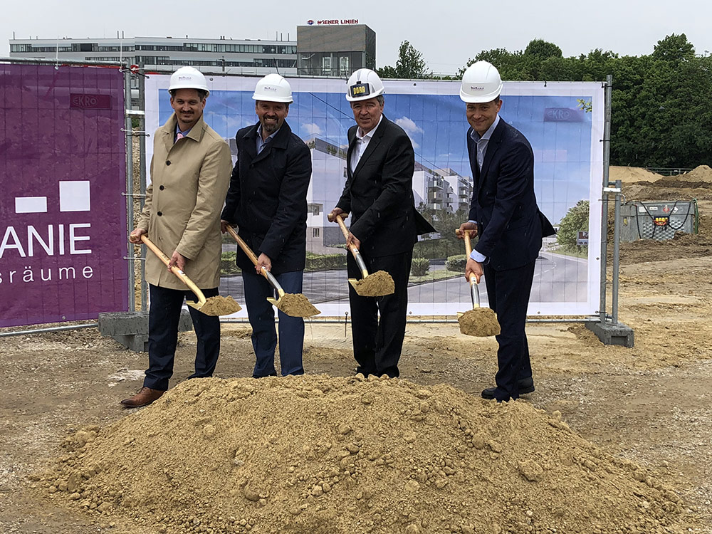 SPATENSTICH AM SÜDHANG OBERLAA